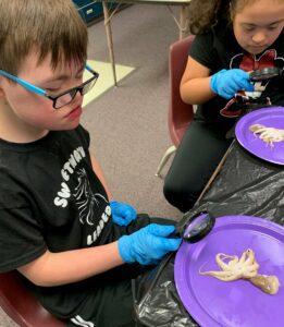 How I Found Out About Readtopia and the Monumental Difference it Made in My Classroom