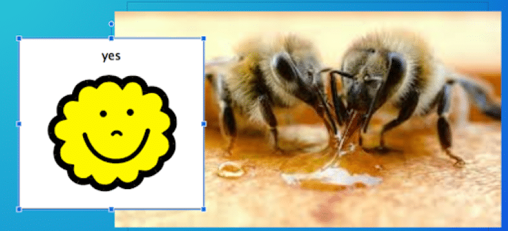 Literacy + Communication