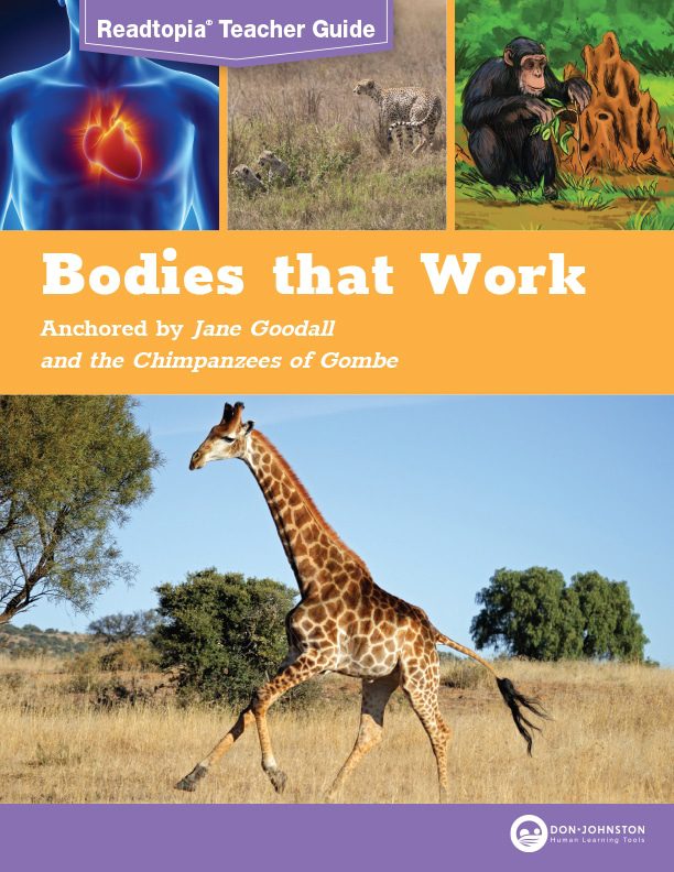 bodies_that_work_guide